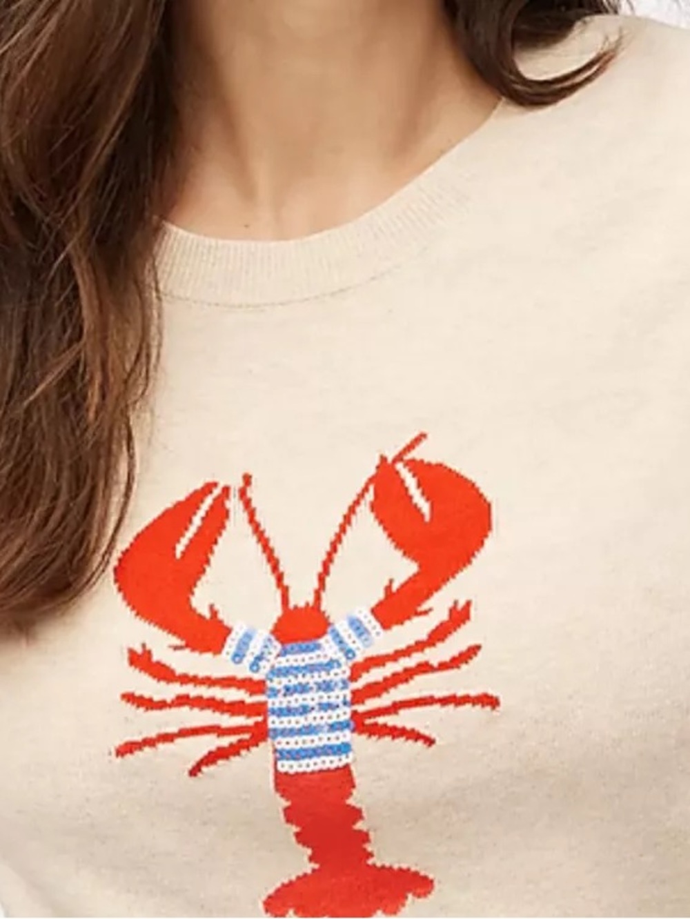 J.Crew Factory Teddie Knit Sweater Lobster Womens Medium Cream Nautical Preppy